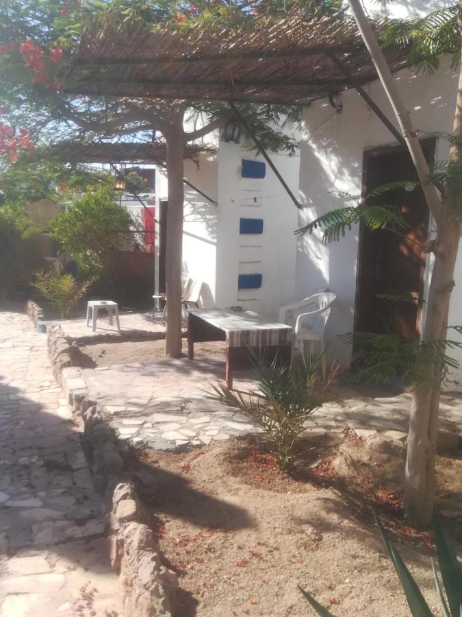 Bedouins Inn Village Akabe Dış mekan fotoğraf