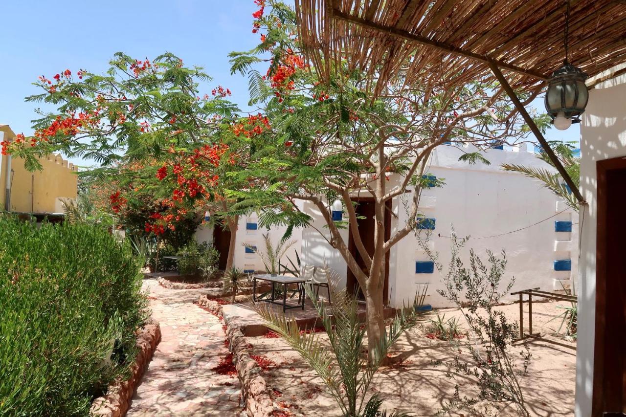 Bedouins Inn Village Akabe Dış mekan fotoğraf
