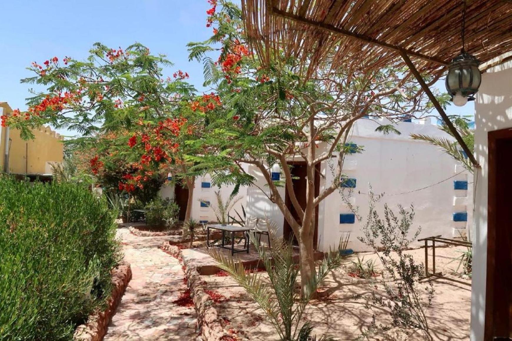 Bedouins Inn Village Akabe Dış mekan fotoğraf